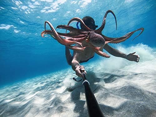 GoPro HERO9 Black - Waterproof Action Camera with Front LCD and Touch Rear - Image 9