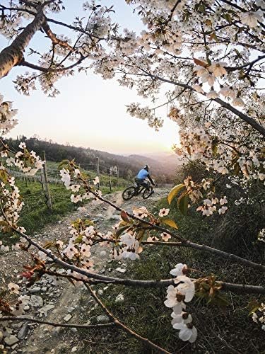 GoPro HERO9 Black - Waterproof Action Camera with Front LCD and Touch Rear - Image 8